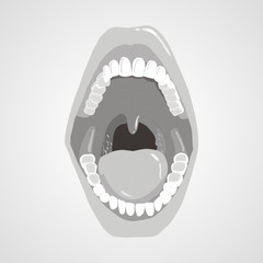 Mandible chin or jaw isolated flat vector image 
