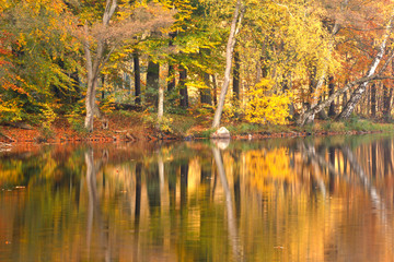 Beautiful, colorful autumn lake. Pomerania, Poland
