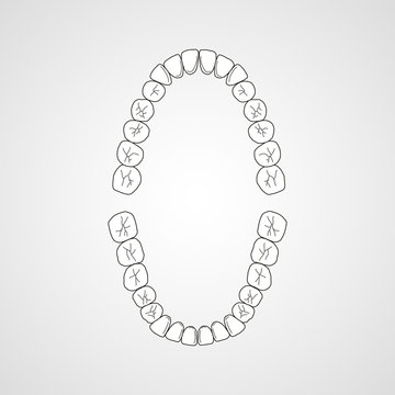 Tooth isolated flat vector image