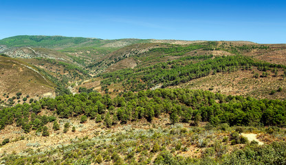 Fototapeta na wymiar Mountains in the natural park of Monfrague