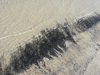 Muscheln im Wasser
