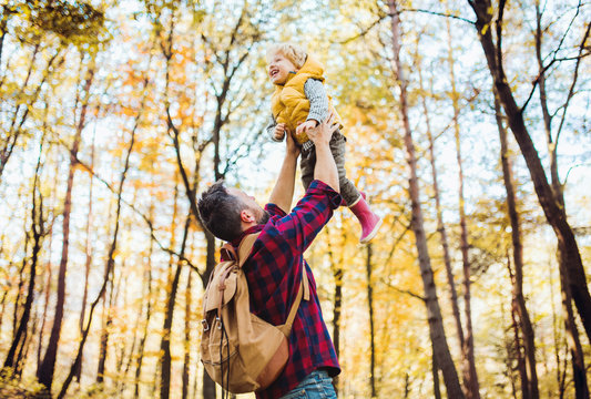 A mature father lifting a toddler son in the air in an autumn forest.