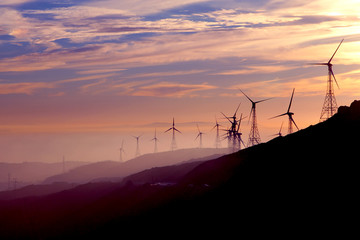 Wind turbines silhouettes. Environment friendly, alternative renewable energy concept. Sunset and ocean on the background.