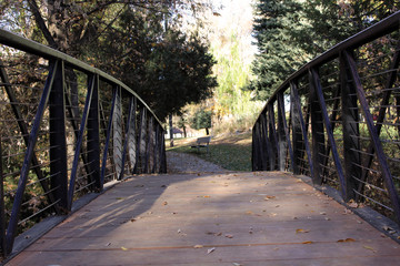 bridge in the park