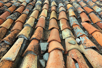 texture of old shingles