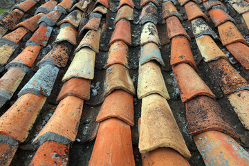 texture of old shingles