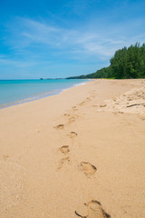 Beautiful sea and beach in thailand