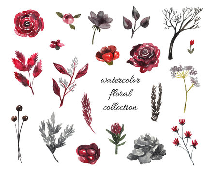 Watercolor floral red and silver elements for design. Watercolor hand-drawn illustration on white isolated background