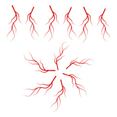 Human blood veins. Anatomy human arterial blood system