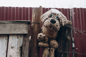 old plush dog