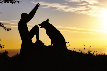 silhouette profile of happy man and dog sitting and playing on nature, boy training German Shepherd at sunset in a field, concept lovely pets