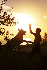silhouette profile of man and dog playing on nature, boy train German Shepherd at sunset in a field, concept pet education