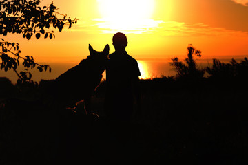 Obraz premium silhouette profile of German Shepherd dog sitting nearby his owner man, boy walking on nature with pet at sunset in a field