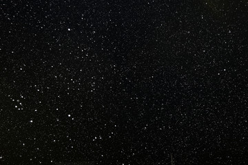 Real falling snow on a black background