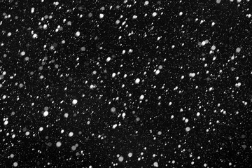 Real falling snow on a black background
