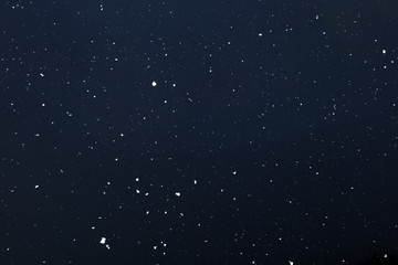 Real falling snow on a black background
