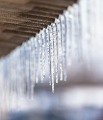 Icicles hang from the roof in winter