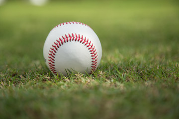 Baseball on green grass