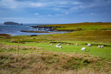 Fototapeta premium Beautiful View at Shetlands