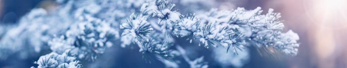 Beautiful tree in winter landscape in late evening in snowfall