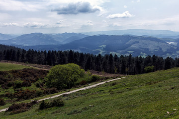 Fototapeta na wymiar green landscape in basque country