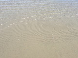 Meer