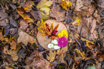 fruit leather in the garden