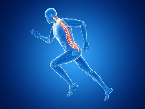 3d rendered illustration of a joggers spine