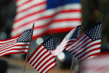 American Flags for celebrating the holiday 