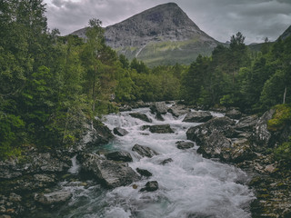 Potok © JDuczmalewski