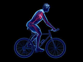 3d rendered illustration of a cyclists heart