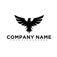 Eagle, falcon, bird logo design, Modern Template, Icon Vector