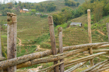 Fence with Rice terraces