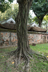 old chinese wall with epic tree