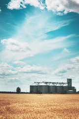 Fototapeta premium the grain elevator
