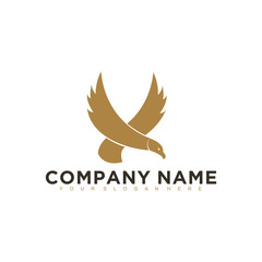 Eagle, falcon, bird logo design, Modern Template, Icon Vector