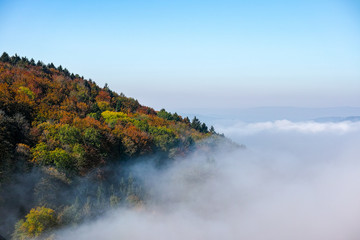 Nebel umzingelt einen Berg mit farbigen Blättern