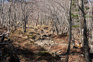 弥山・八経ヶ岳登山道