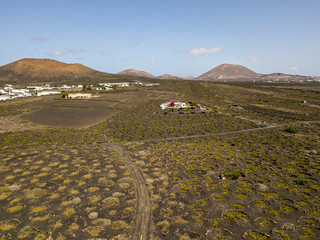 Vista aerea delle coltivazioni vinicole sui terreni vulcanici dell’isola di Lanzarote, pianure e...