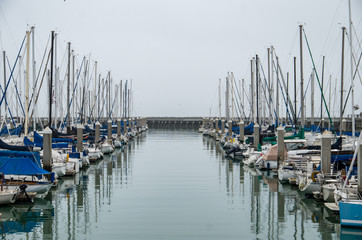 boats in the harbor