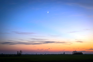 Sunset in field with small plants and moon