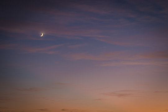 Sunset in field with small plants and moon