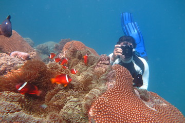 Favolose Fiji © androse