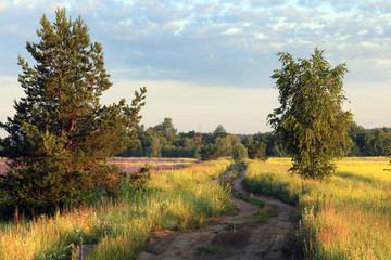 Fototapeta na wymiar sunrise in summer field
