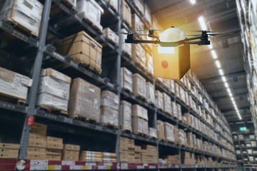 beautiful rice field in the morning with dew drops water