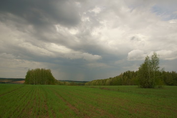 green field