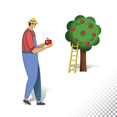 Vector flat icon illustration of farmer and apple tree. The farmer harvesting apples. Colorful objects on a transparent background.