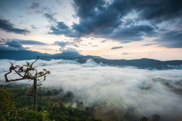 Landscape sea of mist on high mountain in Nakornchoom, Phitsanulok province, Thailand.