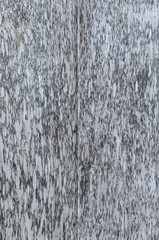 White wood background