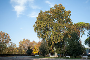 Il grande parco in autunno